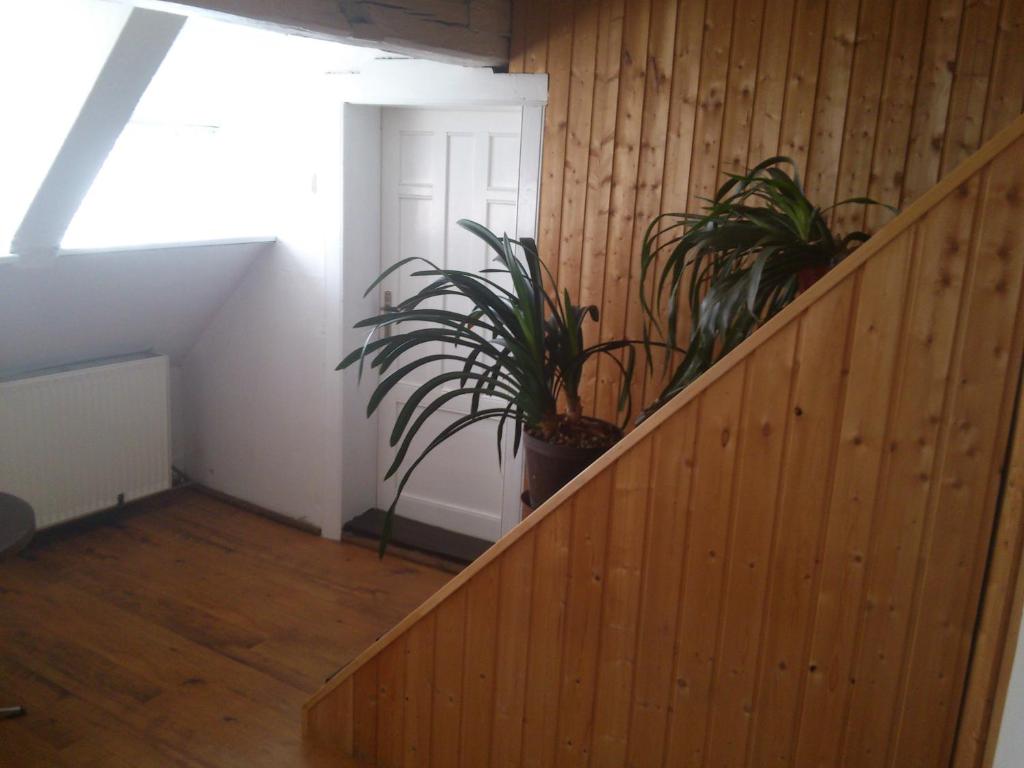 Apartmán 141 room 6